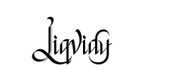 Liqvidy - logo